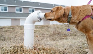 sewer line leak test