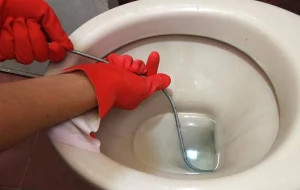 diy clogged toilet resolutions