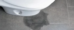 toilet leaks when flushed at base