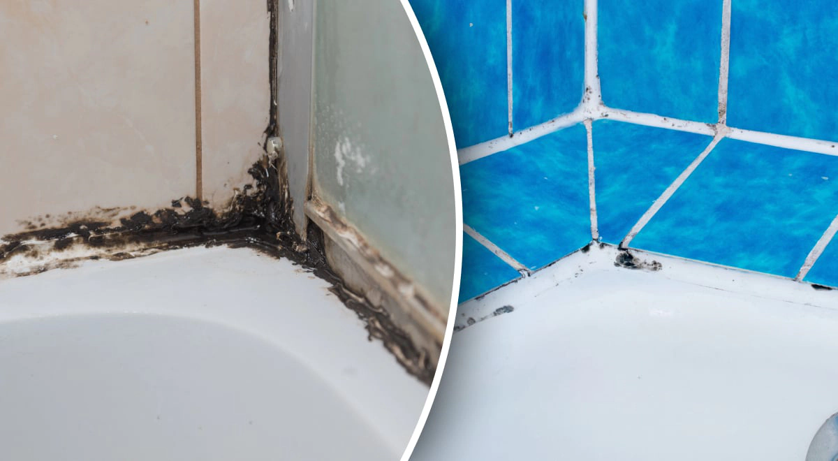 How to Clean Mold in Showers