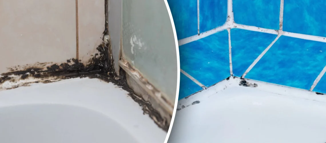 how-to-remove-mold-from-shower-caulking