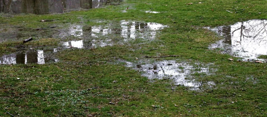 the-role-of-french-drains-in-drainage
